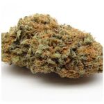 Шишки AK47  (Гидропоника, Бошка) VHQ в Лангепасе